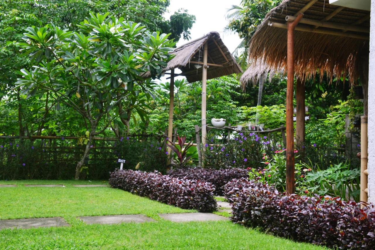 Séjour chez l'habitant Sammy Senggigi *